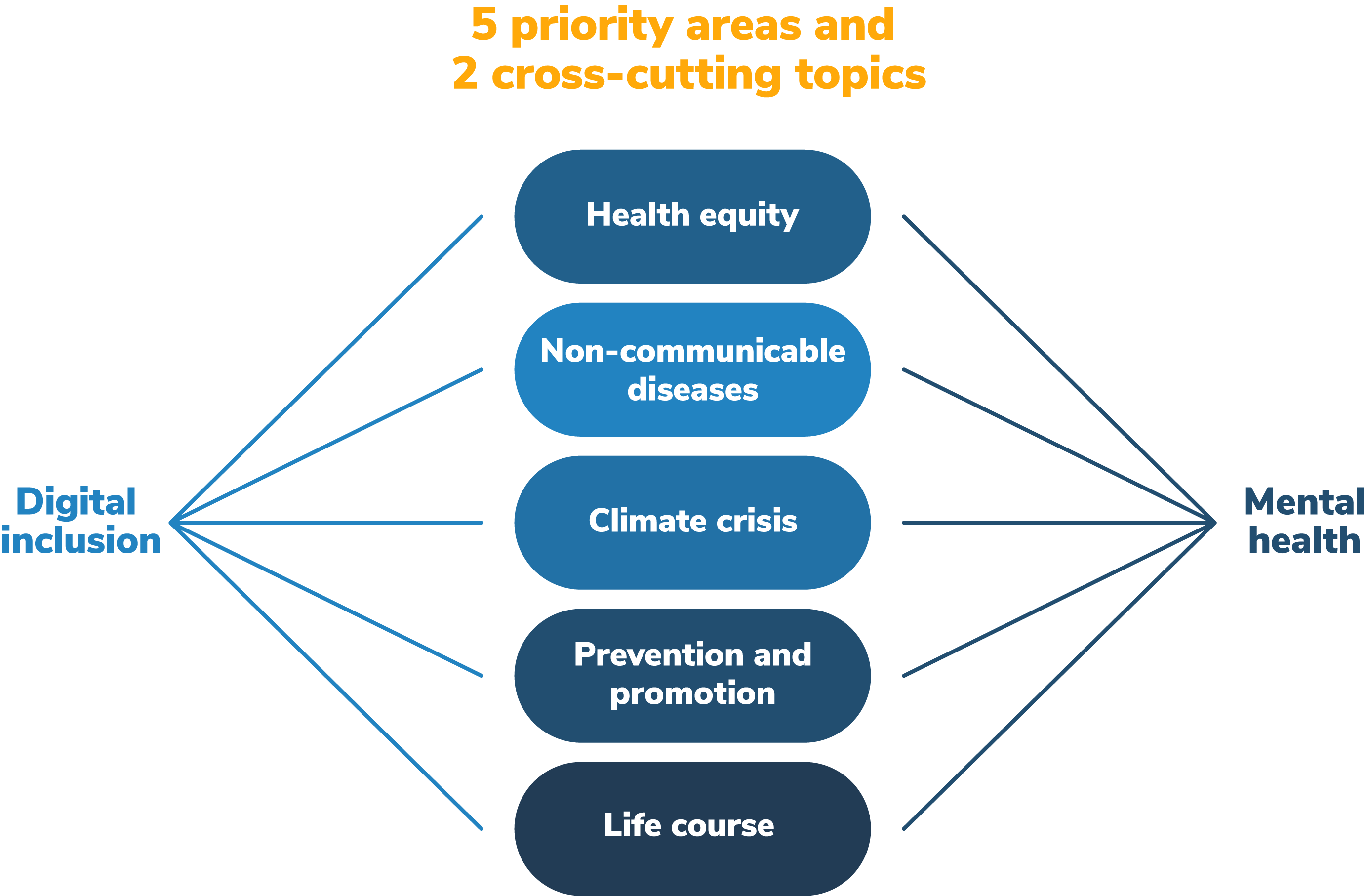The EuroHealthNet Strategic Development Plan sets out a path to a strengthened and sustainable EuroHealthNet Partnership post 2021. It identified five main areas of work, as well as two cross-cutting themes. (Click to enlarge)
